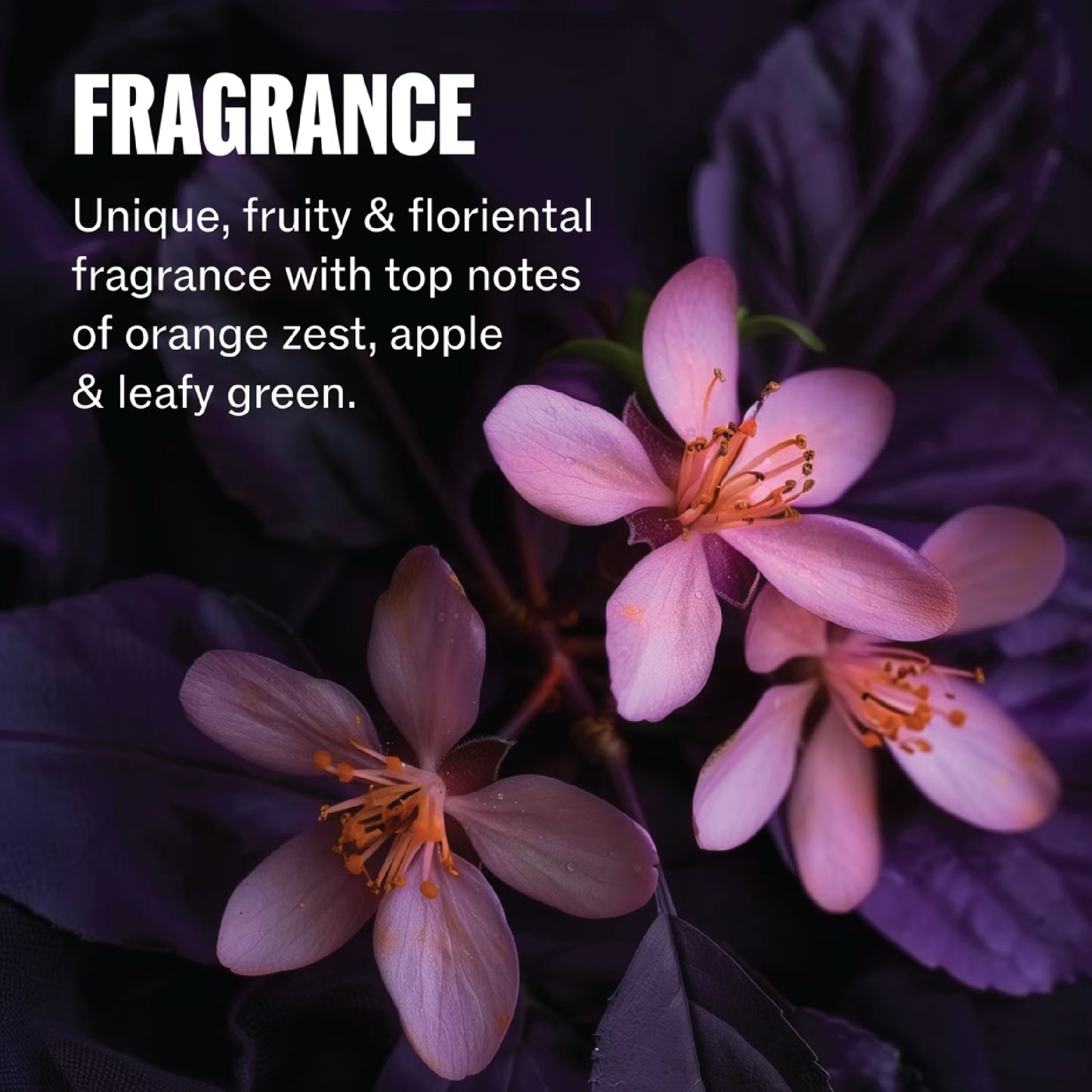 WELLA ULTIMATE COLOR CONDITIONER 200ML