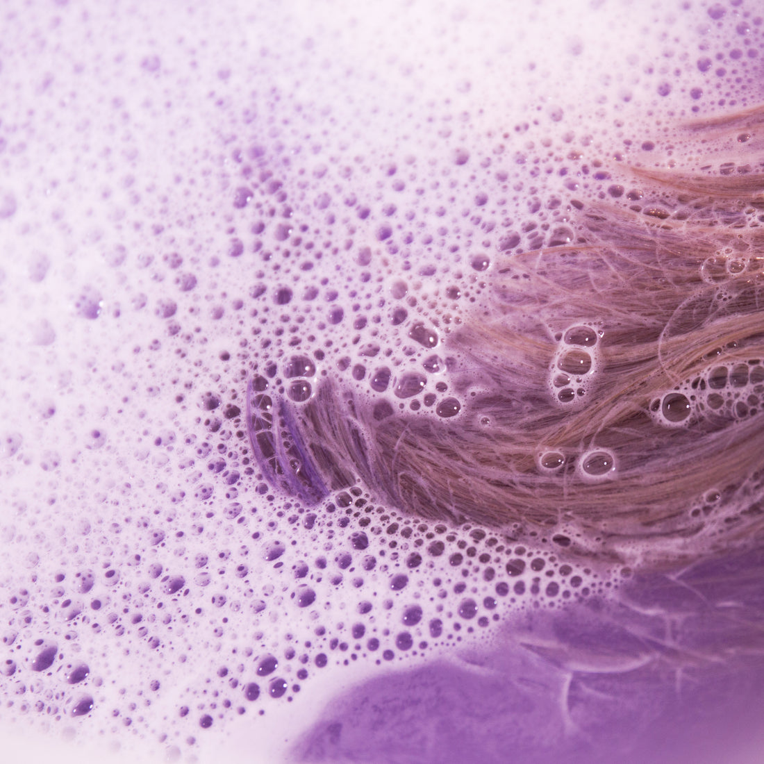 Which purple shampoo is right for you?