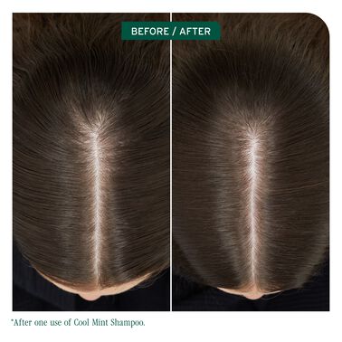 BIOLAGE SCALPSYNC COOL MINT SHAMPOO 400ML